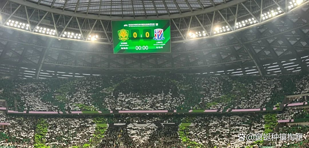 开云体育官网-申花客场逆转国安，壮大气势