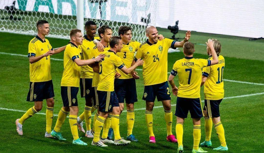 瑞典队备战欧洲杯预选赛，期待新一轮比赛