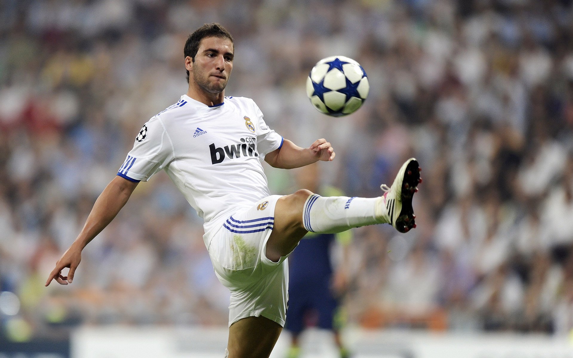 击碎玻璃墙，当青花瓷战袍在蓝色狂潮中逆流而上